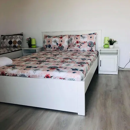 Homestay Casa Darului *