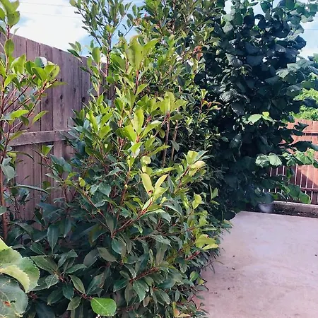 Homestay Casa Darului Eforie Nord