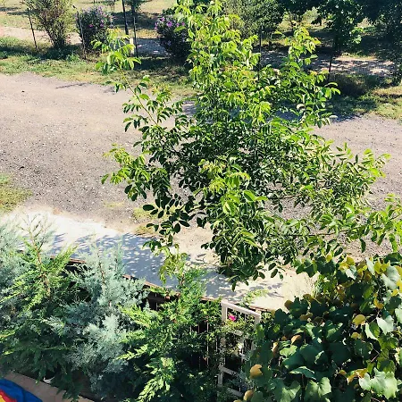 Casa Darului Homestay