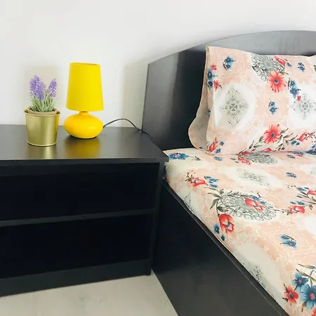 Homestay Casa Darului