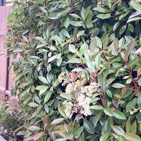 Casa Darului Eforie Nord