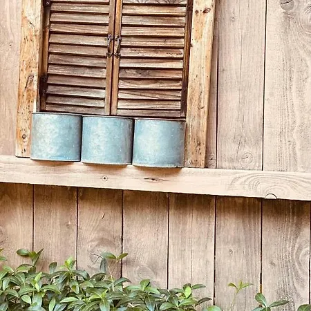 Homestay Casa Darului Eforie Nord