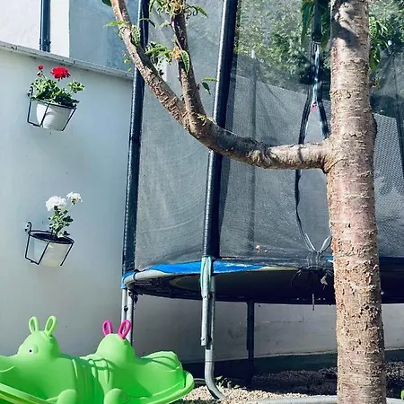 Casa Darului Homestay *