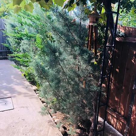 Casa Darului Privatunterkunft *