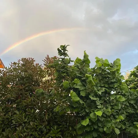 Privatunterkunft Casa Darului *