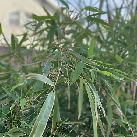 Casa Darului Privatunterkunft