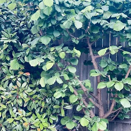 Casa Darului Privatunterkunft Eforie Nord