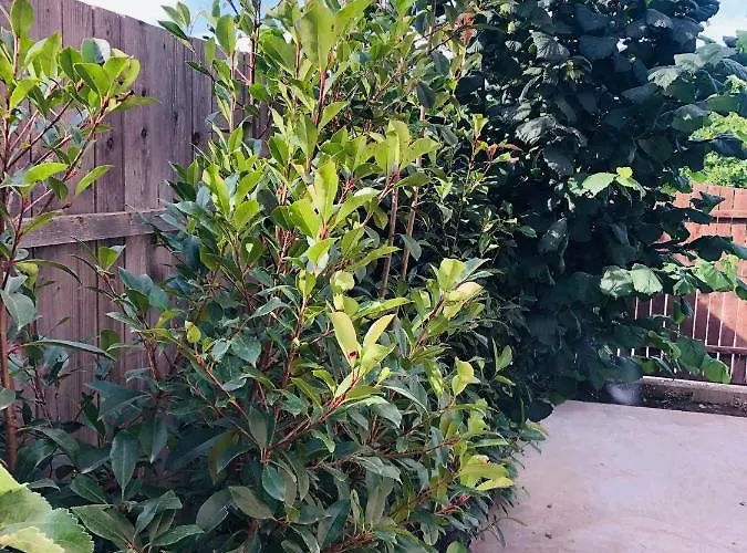 Rum i privatbostad Casa Darului Eforie Nord