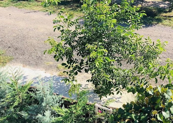 Casa Darului Rum i privatbostad