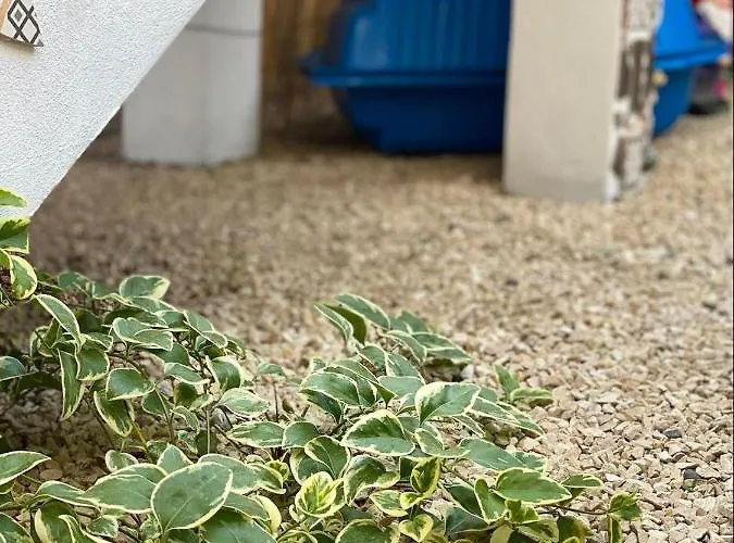 Casa Darului Rum i privatbostad