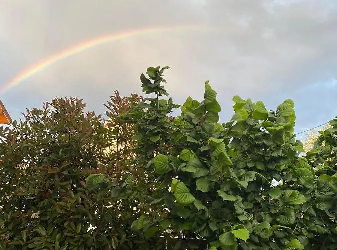 Rum i privatbostad Casa Darului *