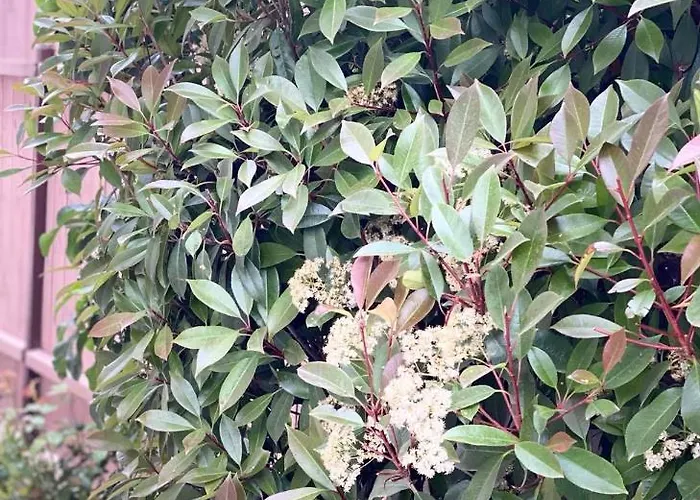 Casa Darului Eforie Nord