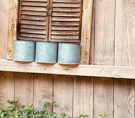 Rum i privatbostad Casa Darului Eforie Nord