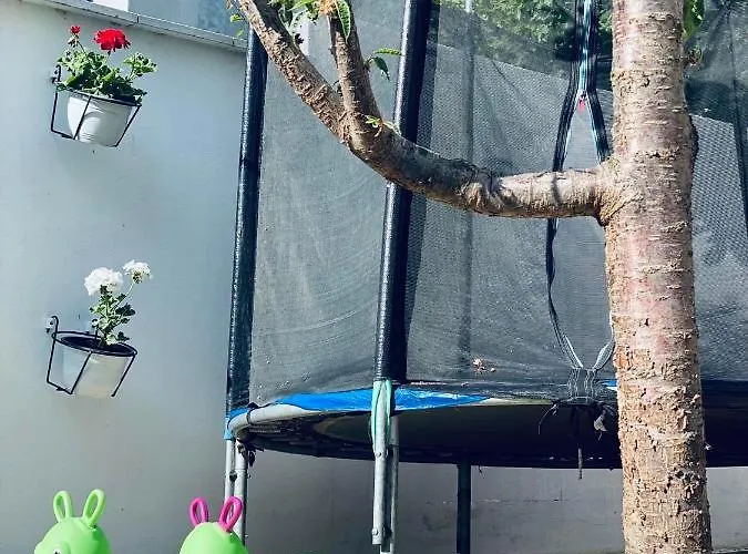 Casa Darului Rum i privatbostad *