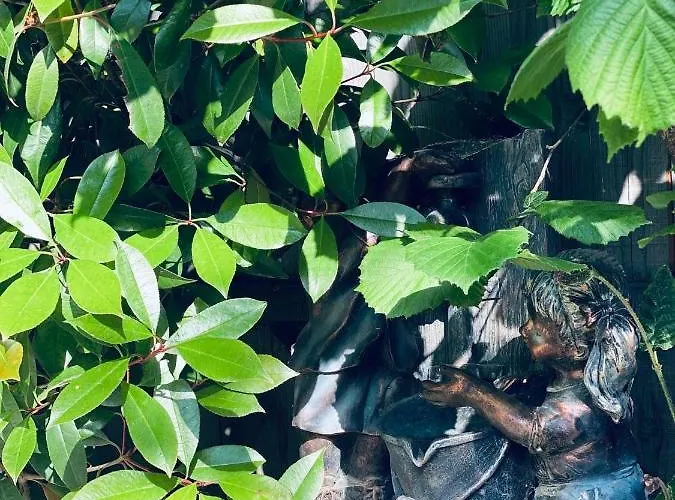 Rum i privatbostad Casa Darului Eforie Nord