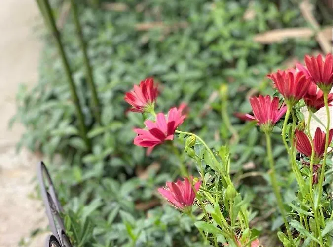 Rum i privatbostad Casa Darului *